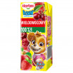 Hortex Leon i Przyjaciele Sok 100 % wieloowocowy 200 ml