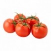 Pomidor gałązka