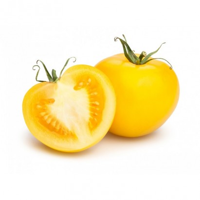 Pomidor żółty